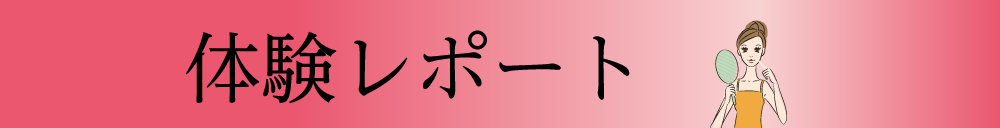 体験レポート